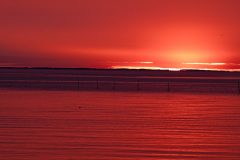 DSC_5560-scaled
