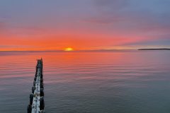IMG_4497-scaled
