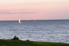 IMG_4607-scaled