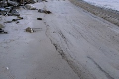 IMG_5253-1