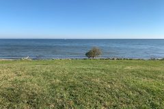 Shore-Front-scaled